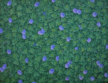 Blue Moon - Oil on canvas 35cmx45cm